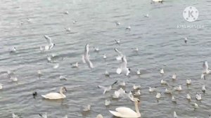 Кристина Мотиватор.Каси запретили дружить с подружкой.Колено прошло само уже на следующий день