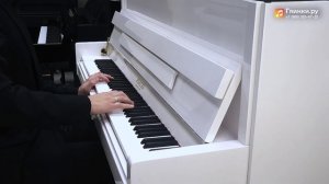 Пианино Pleyel L1 | | Александр Кашпурин | Сергей Рахманинов Прелюдия Ре мажор