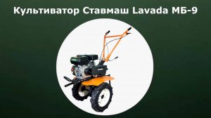 Бензиновый культиватор Ставмаш Lavada МБ-9