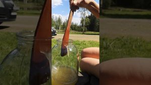 Сурица из майской крапивы 🤗🥰