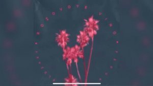 speed up-розовое вино(элджей&федук/