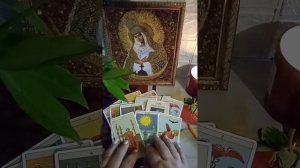 #информация #таро #поток без темы🤷♀️временно личная запись преостановлена☝🏵🏵🏵