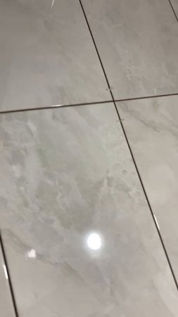 BioTeachСолнце мое!