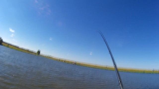 Rüzgar-Sazan-Kadife balığı -Hd смотреть онлайн