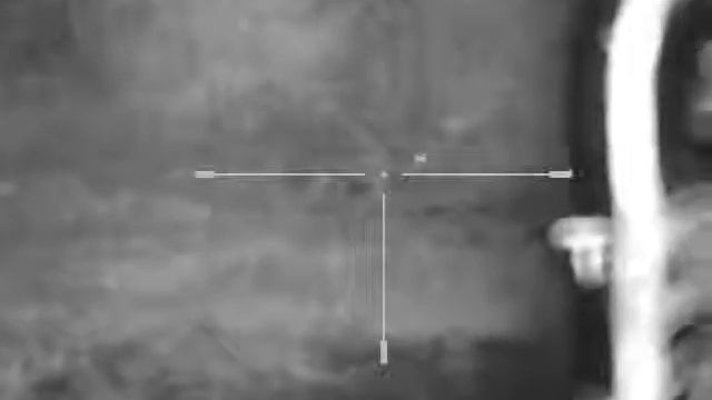 Регулирование численности шакала 9 июня 2019 г. смотреть онлайн