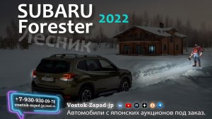 Subaru Forester - Лесник. КиШ кавер. Автозаказ из Японии.