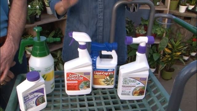 Winter Dormant Spraying