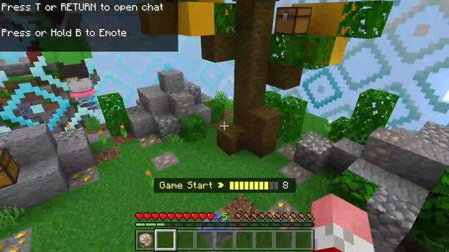 Minecraft with my friend Nolan (Hive)
