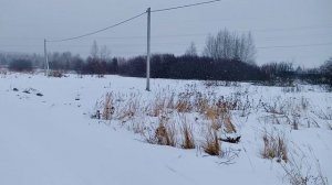 Видео для объявления на Авито