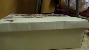 Кошка в коробке. Смешная ситуация с кошкой в коробке.