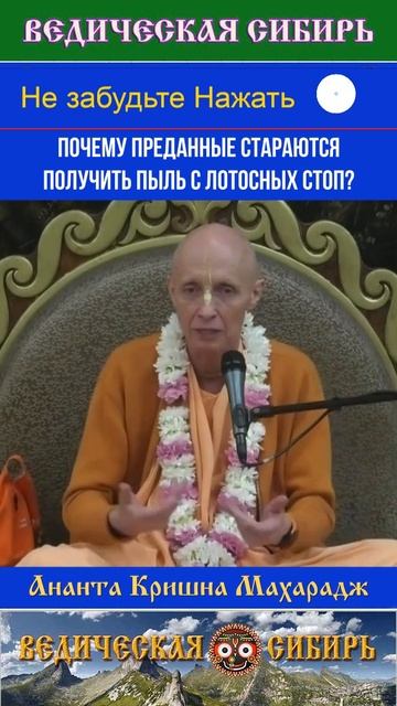 ПОЧЕМУ преданные стараются получить ПЫЛЬ с Лотосных стоп? #ведические #сибирь #господь #кришна #веды