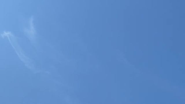 Голуби в небо!!! смотреть онлайн