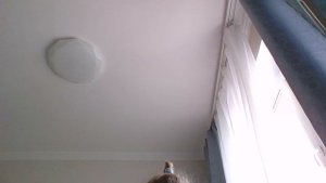 4 видео