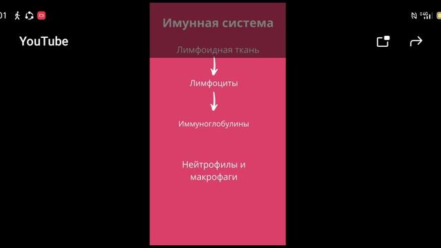 Имунная система