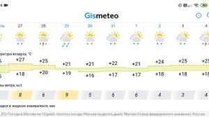 Погода на 10 дней в Москве #гисметео #погода
