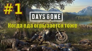 И сказал мне бобёр, го в Days Gone №1