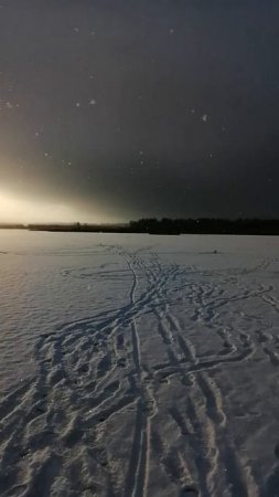 VID_20250215_085453