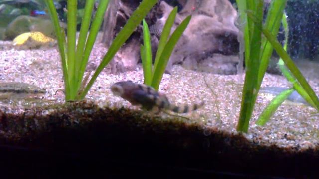 L 397 2 смотреть онлайн