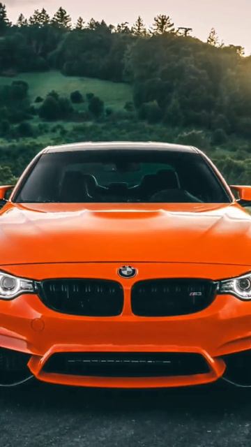 TARAS - Тебя нежно грубо смотреть онлайн