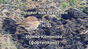 Элизе. Бетховен
