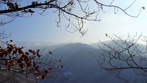 Интересный Дагестанский лес для прогулок.