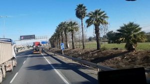 Дальнобоем по европе. Испания пальмовая аллея