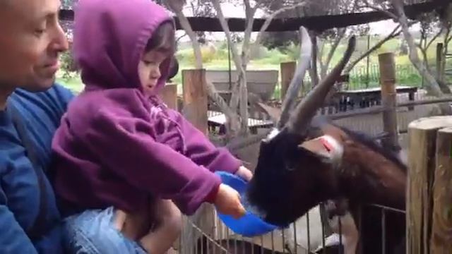 Эмма 2 года смотреть онлайн