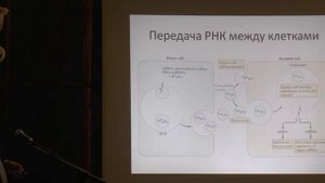 Микровезикулы (экзосомы) и их роль в коммуникации клеток иммунной системы.  Рубцов Ю.П 21.04.15  .