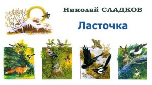 "Ласточка" (автор Николай Сладков) - Слушать