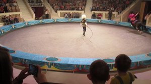 цырк 1 серия