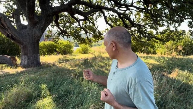 Старый дуб и христианские конфессии?   Пастор Василе Филат