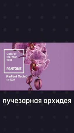 Цвет года от Pantone за 20 лет #цветгода #тренды #дизайнинтерьера #дизайнеринтерьера #pantone #дзгн