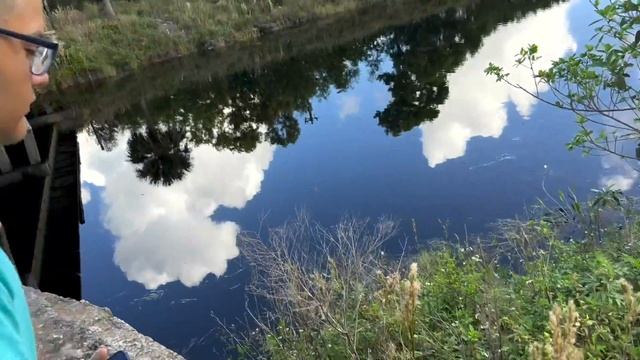 CATCHING BUTTERFLIES FOR BUTTERFLY RELEASE смотреть онлайн