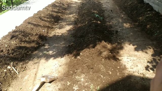 как отделить червей от биогумуса смотреть онлайн