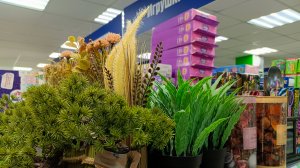 Ох, уж эти новинки в "Фикс Прайс"! Прошла всего два отдела, где просто шикарный выбор. Обзор.