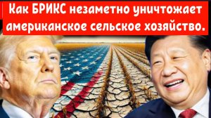 БРИКС незаметно уничтожает американское сельское хозяйство:
