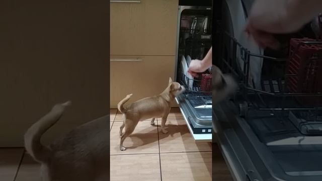 26 ноября 2019 г. смотреть онлайн