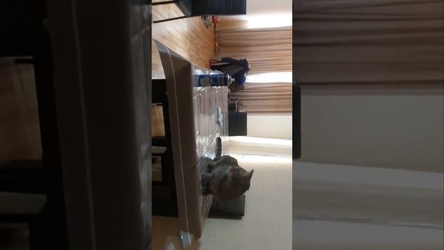 Друзья Знакомьтесь Костя и Нэнси смотреть онлайн