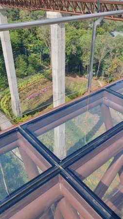 Стеклянный мост Beyond Skywalk Nangshi, Тайланд 25.01.2025