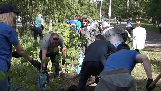 Зелёную зону Советского парка дополнила новая липовая аллея