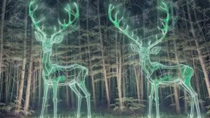 Progressive Psytrance Vibes 2025 - Psychedelic Drops & Immersive Beats - Full Festival Set