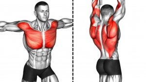 Тренировка для роста мышц натуральным путем: 7 лучших упражнений на верхнюю часть тела