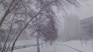 Метель в городе ❄️❄️Пообещайте мне любовь ♥️Татьяна Дасковская