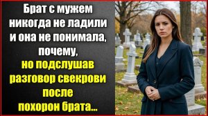 Брат с мужем никогда не ладили и она не понимала почему, а подслушав разговор свекрови и незнакомки.