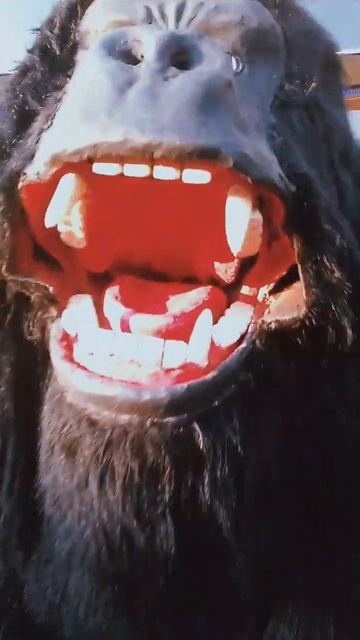 аниматроник в сочи часть 2 смотреть онлайн