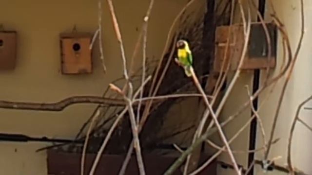 20120616_120957.mp4 смотреть онлайн