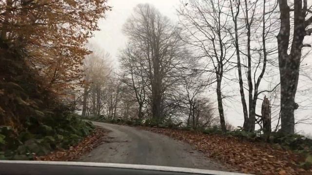 kartepe kuzu yayla смотреть онлайн