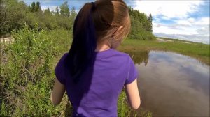 Northern Leopard Frogs - Frog Catching With Anna