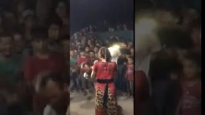 Туй дар фархор  пшкок