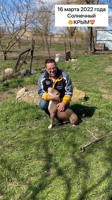 Ко мне в Крым приехал американский булли ДОН! смотреть онлайн